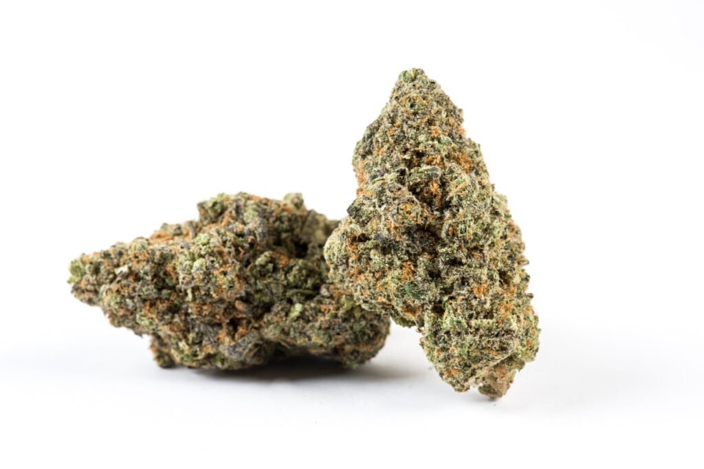 Juice Box Strain Review & Information