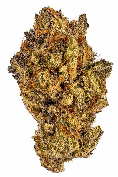 Island Punch Strain Review and Information