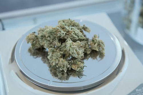 Weed Measurements: An In-Depth Guide for Beginners 