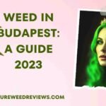 Weed in Budapest: Your Guide 2023