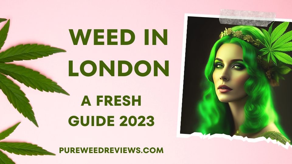 Weed in London: A Fresh Guide 2023