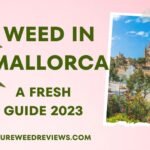 Weed in Mallorca