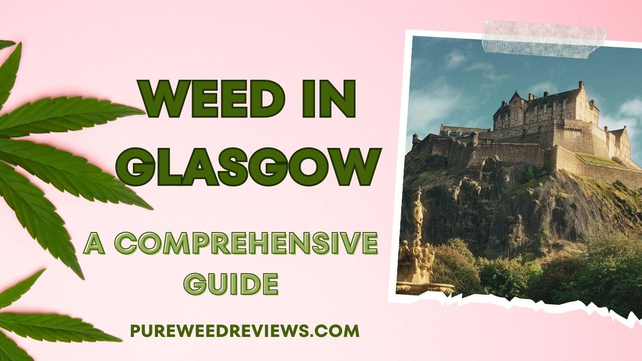 A Comprehensive Guide on the Weed in Glasgow, United States