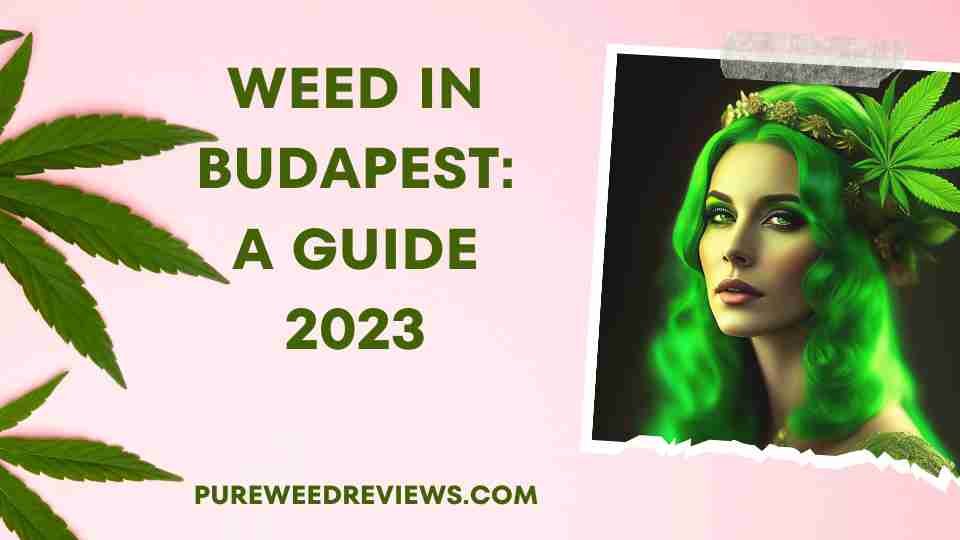 Weed in Budapest: Your Guide 2023