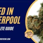 Guide to Weed in Liverpool: Legality, Cost, and Quality