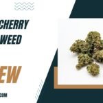 Lemon Cherry Gelato Weed Strain Review (2023 Updated)