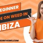 A Complete Guide on Weed in Ibiza