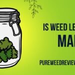 Is Weed Legal In Maine? The Complete Guide