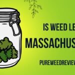 Is Weed Legal In Massachusetts? (Latest 2023)