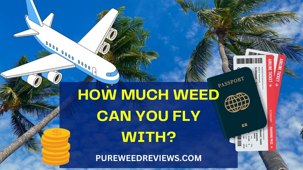 6 Ultimate Tips: How Much Weed Can You Fly With?