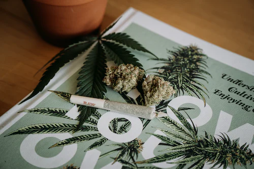 Is Weed Legal in Mexico? A Complete Guide