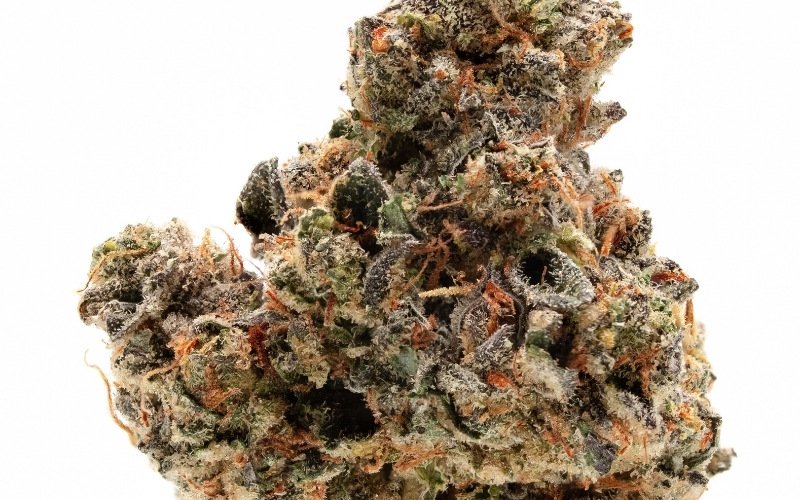 Zours Strain Review and Information