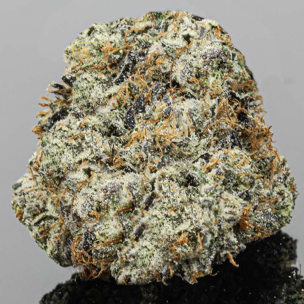 Gas Crack Strain Review & Information