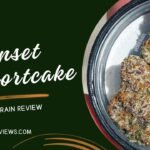 Sunset Shortcake Strain Review