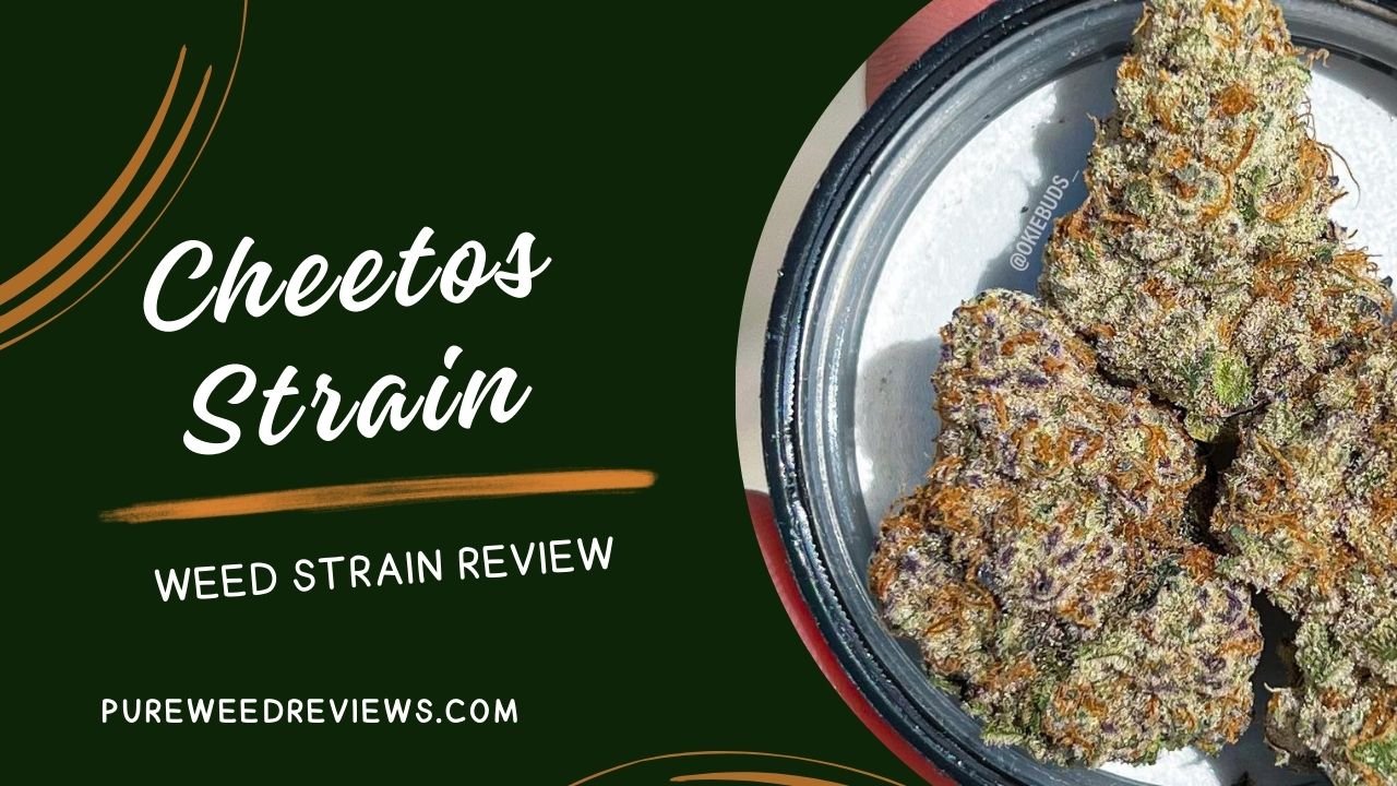 Cheetos Strain Review and Information