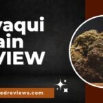 Zuyaqui Strain Review and Information