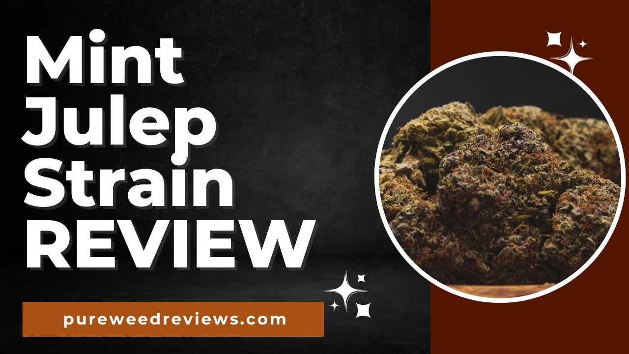 Mint Julep Strain Review and Information