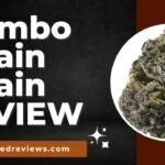Mambo Strain Review and Information