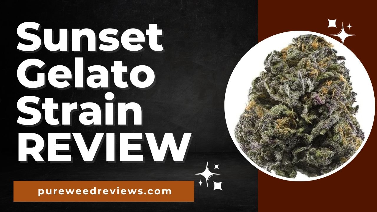 Sunset Gelato Strain Review and Information