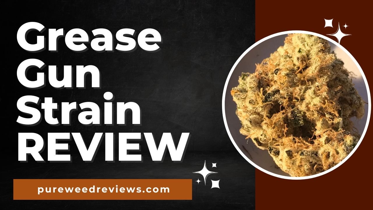 Grease Gun Strain Review and Information