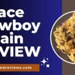 Space Cowboy Strain Review and Information