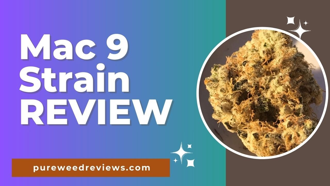 Mac 9 Strain Review and Information