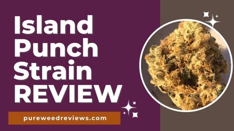 Island Punch Strain Review and Information