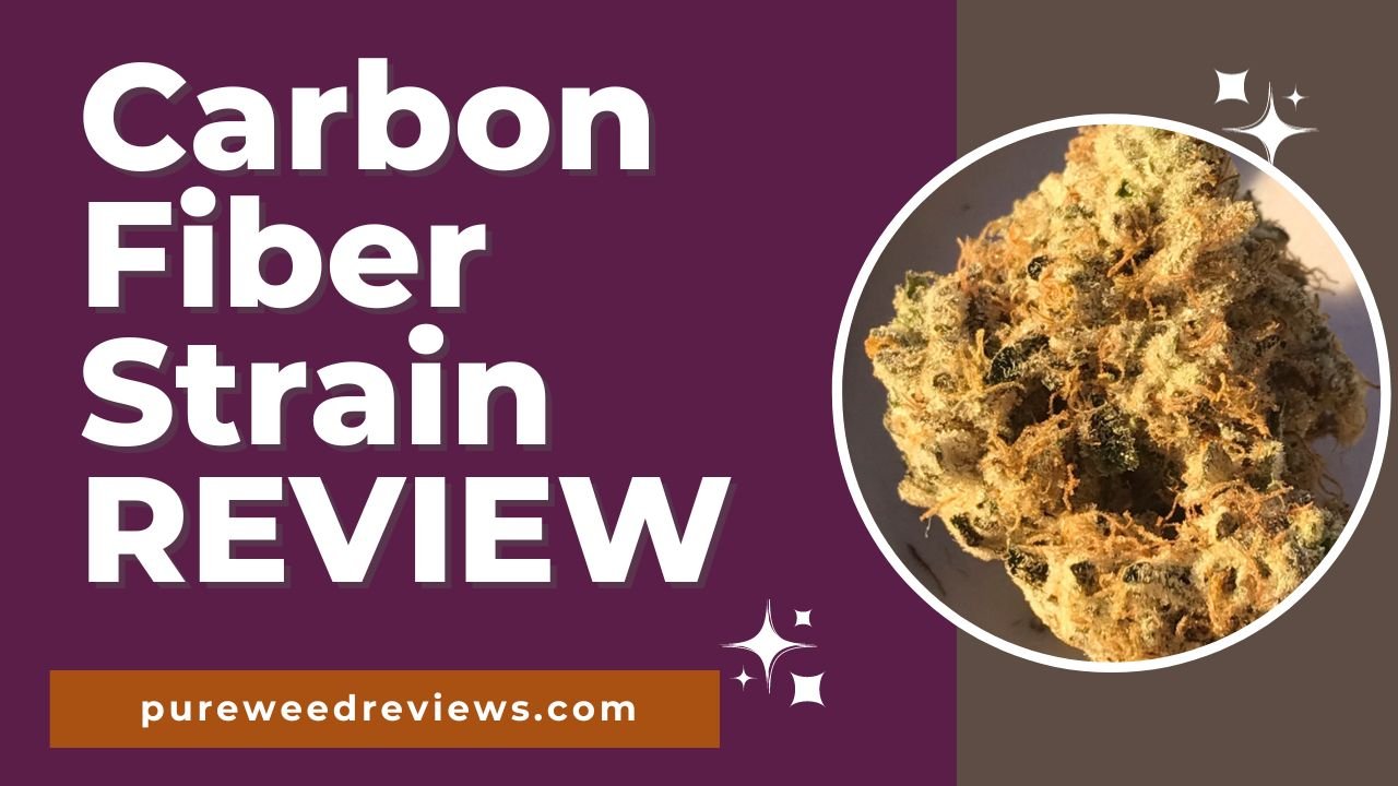 Carbon Fiber Strain Review and Information