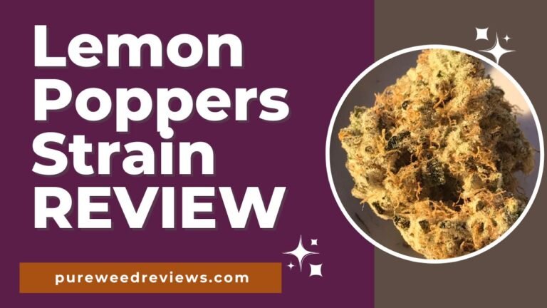 Lemon Poppers Strain Review and Information