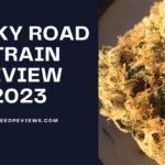 Rocky Road Strain Review and Information