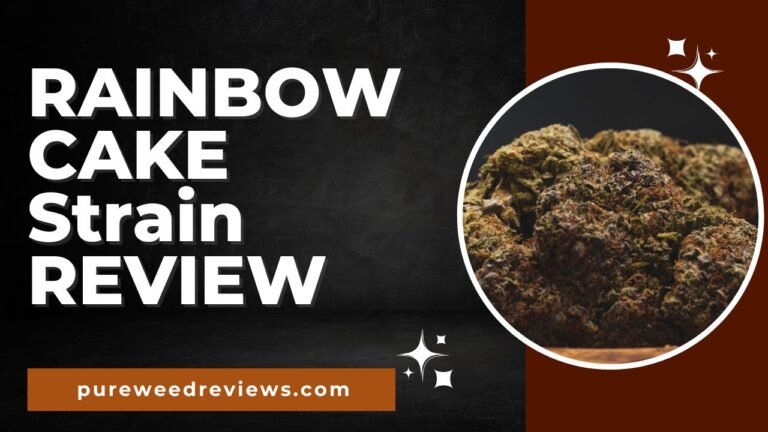 Rainbow Cake Strain Review