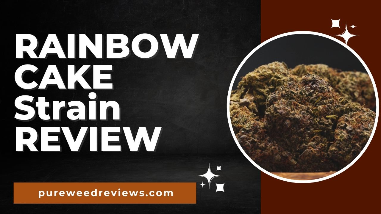 Rainbow Cake Strain Review