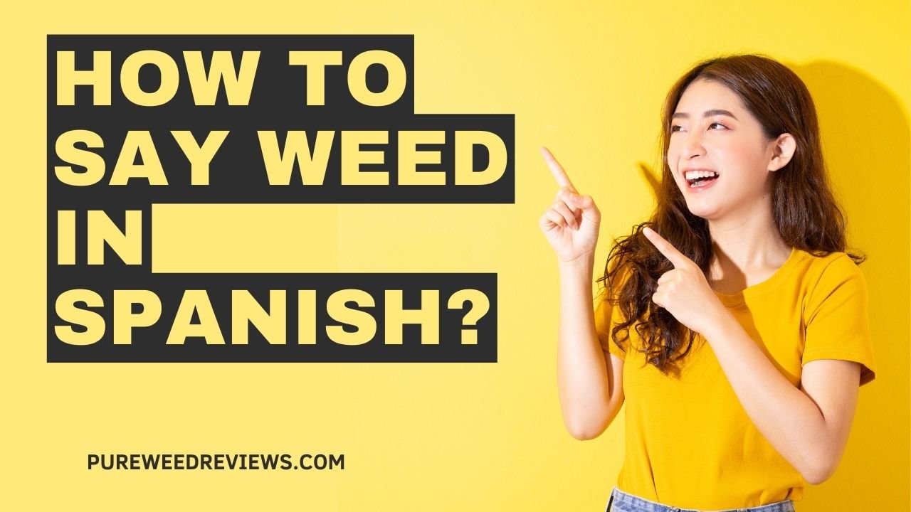 How to Say Weed in Spanish?