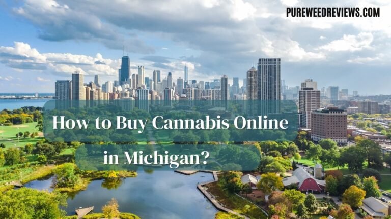 How to Buy Cannabis Online in Michigan?
