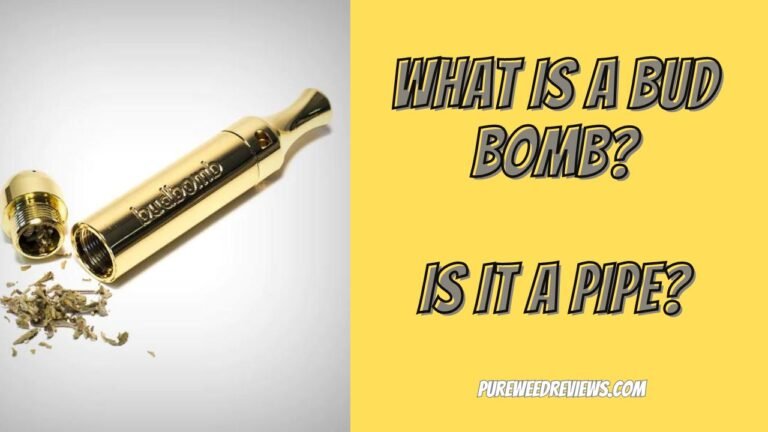 What Is a Bud Bomb?