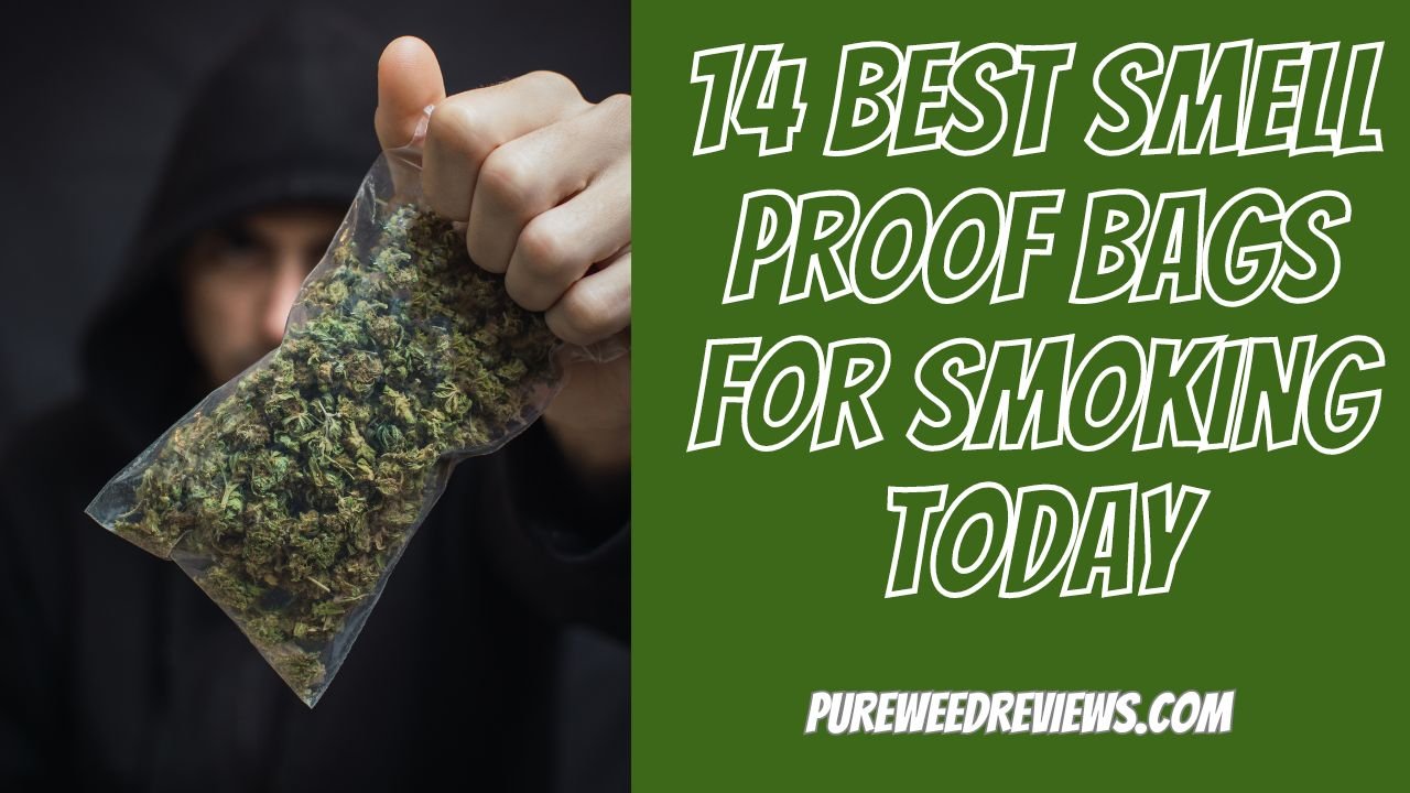 14 Best Smell Proof Bags for Smoking Today