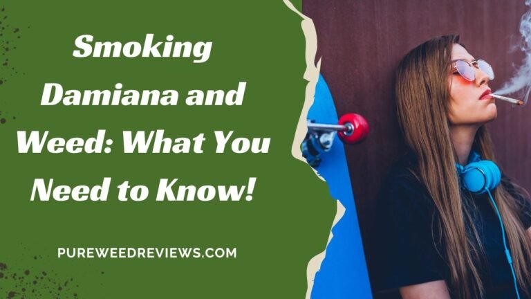 Smoking Damiana and Weed: What You Need to Know!