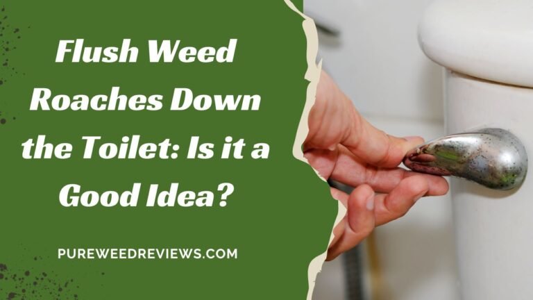 Flush Weed Roaches Down the Toilet: Is it a Good Idea?