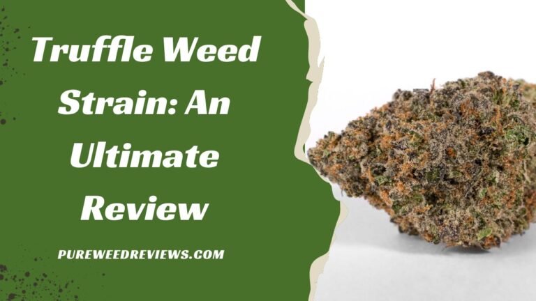Truffle Weed Strain: An Ultimate Review