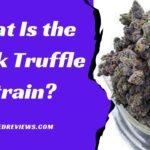Black Truffle Strains: A Beginners Guide
