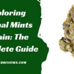 Exploring Animal Mints Strain: The Complete Guide