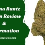 Obama Runtz Strain Review & Information