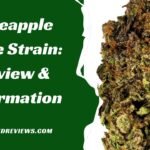 Pineapple Cake Strain: A Sweet Journey to Relaxation and Joy