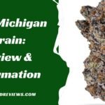 Pure Michigan Strain: The Strongest Hybrid Strain?