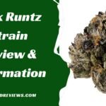 Pink Runtz Strain Review & Information