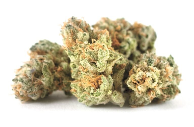 Vanilla Cream Pie Strain Review & Information