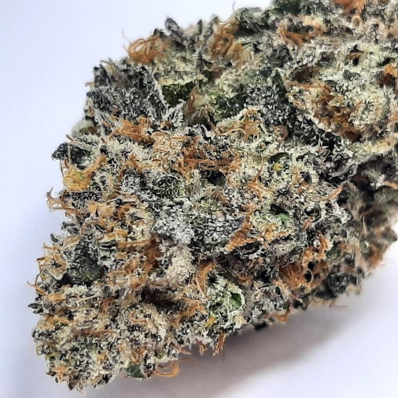 Bombsicle Strain Review
