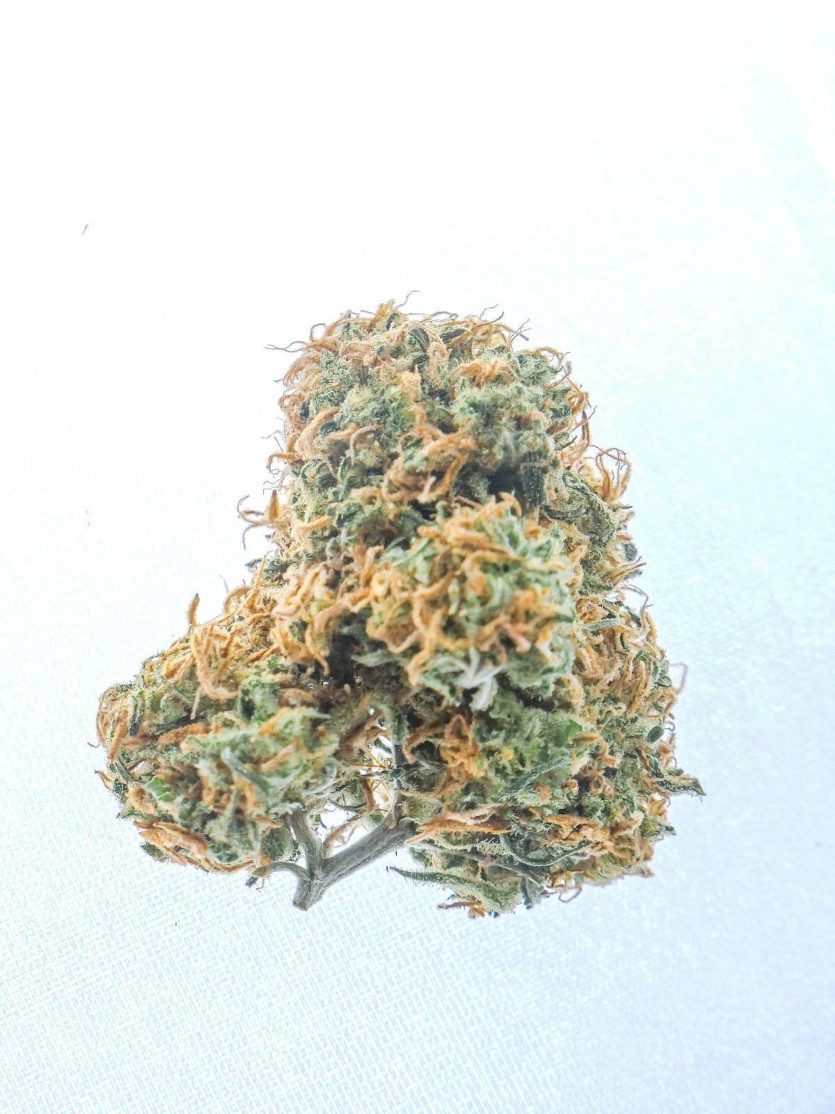 Sunset Cookies Strain Review and Information