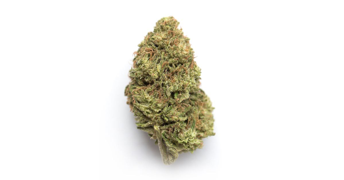 Cherry Stout Strain Review & Information