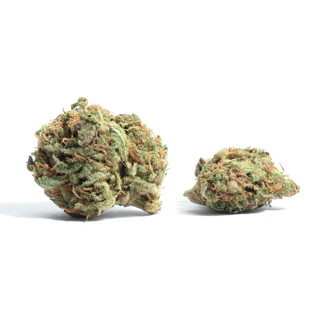 Uncle Snoop Strain Review & Information (Updated 2024) | Pure Weed Reviews